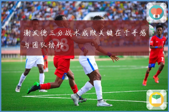 谢泼德三分战术成败关键在于手感与团队协作